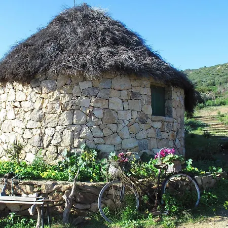 Essenza Sardegna