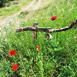Vendégház Essenza Sardegna