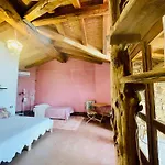 Essenza Sardegna Torpè