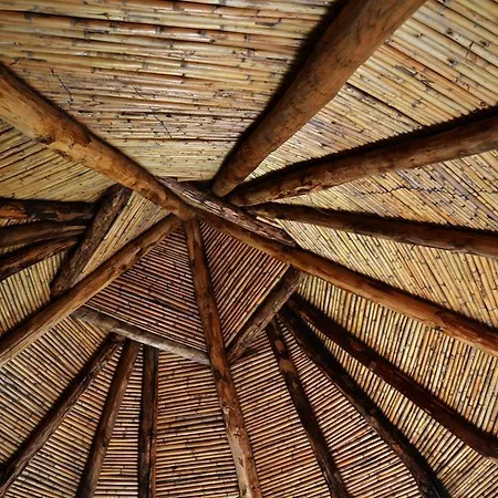 Essenza Sardegna Torpè