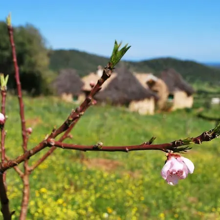 Essenza Sardegna Pensión 4*