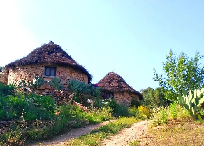 Essenza Sardegna Torpe